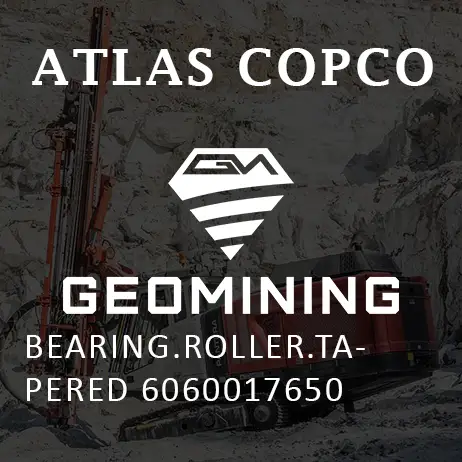6060017650 ПОДШИПНИК РОЛИКОВЫЙ КОНИЧЕСКИЙ Atlas Copco / Epiroc